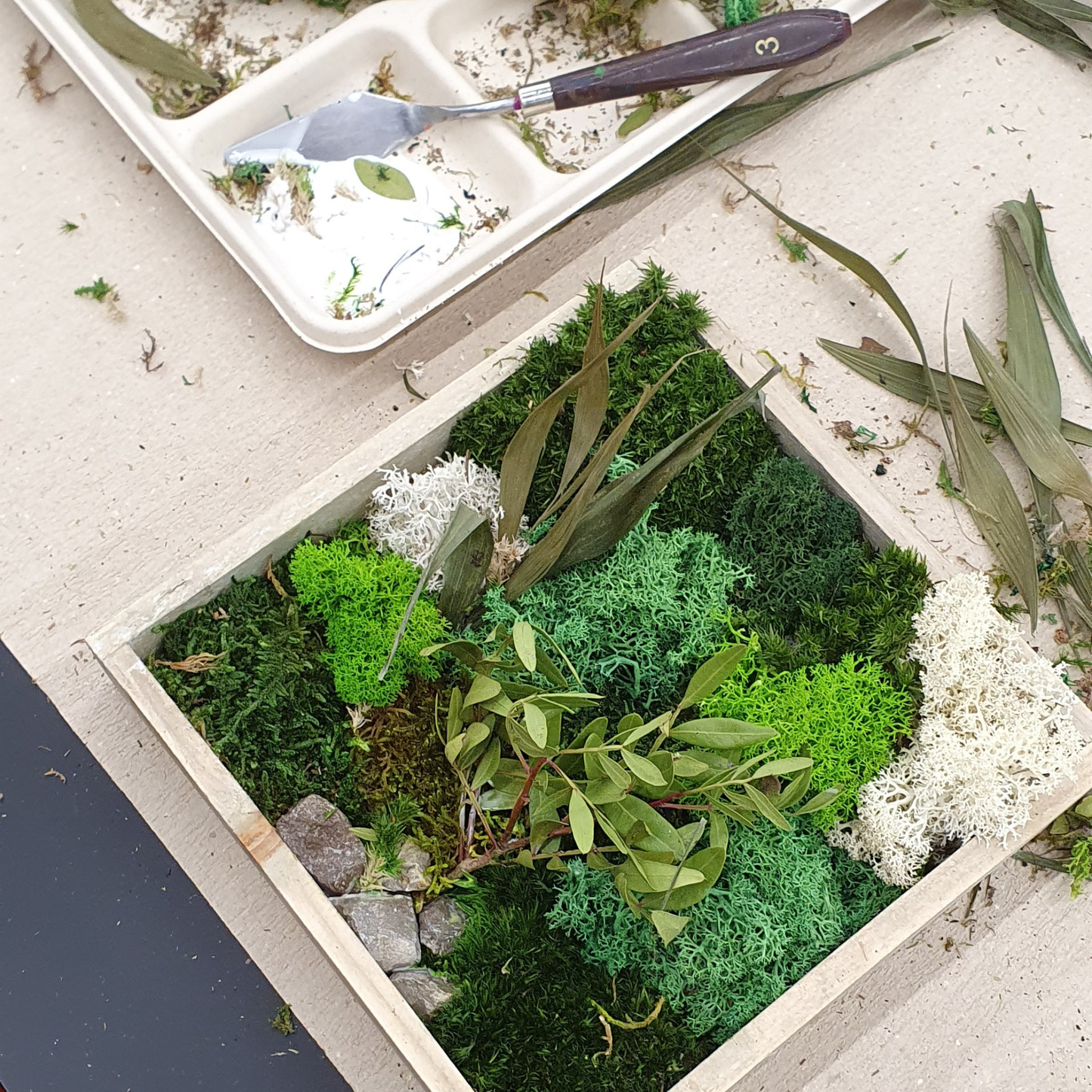 Moosbild: Gestalte 2 Bilder