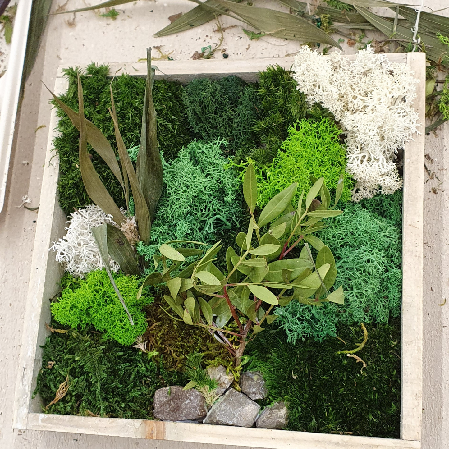 Moosbild: Gestalte 2 Bilder