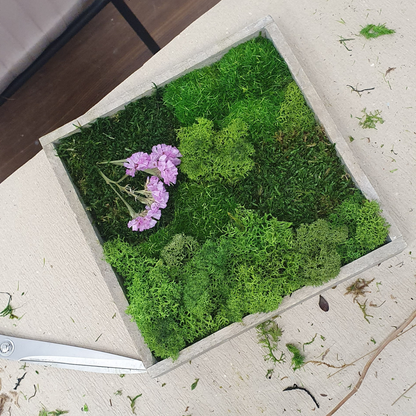 Moosbild: Gestalte 2 Bilder