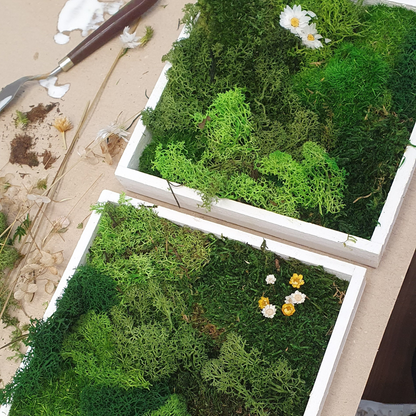 Moosbild: Gestalte 2 Bilder