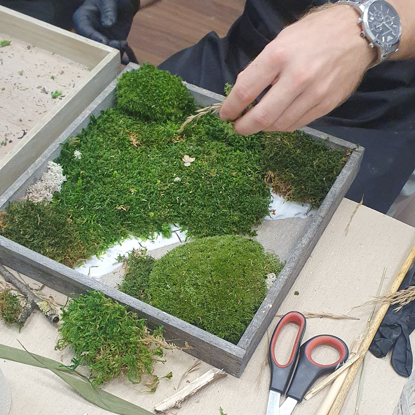 Moosbild: Gestalte 2 Bilder