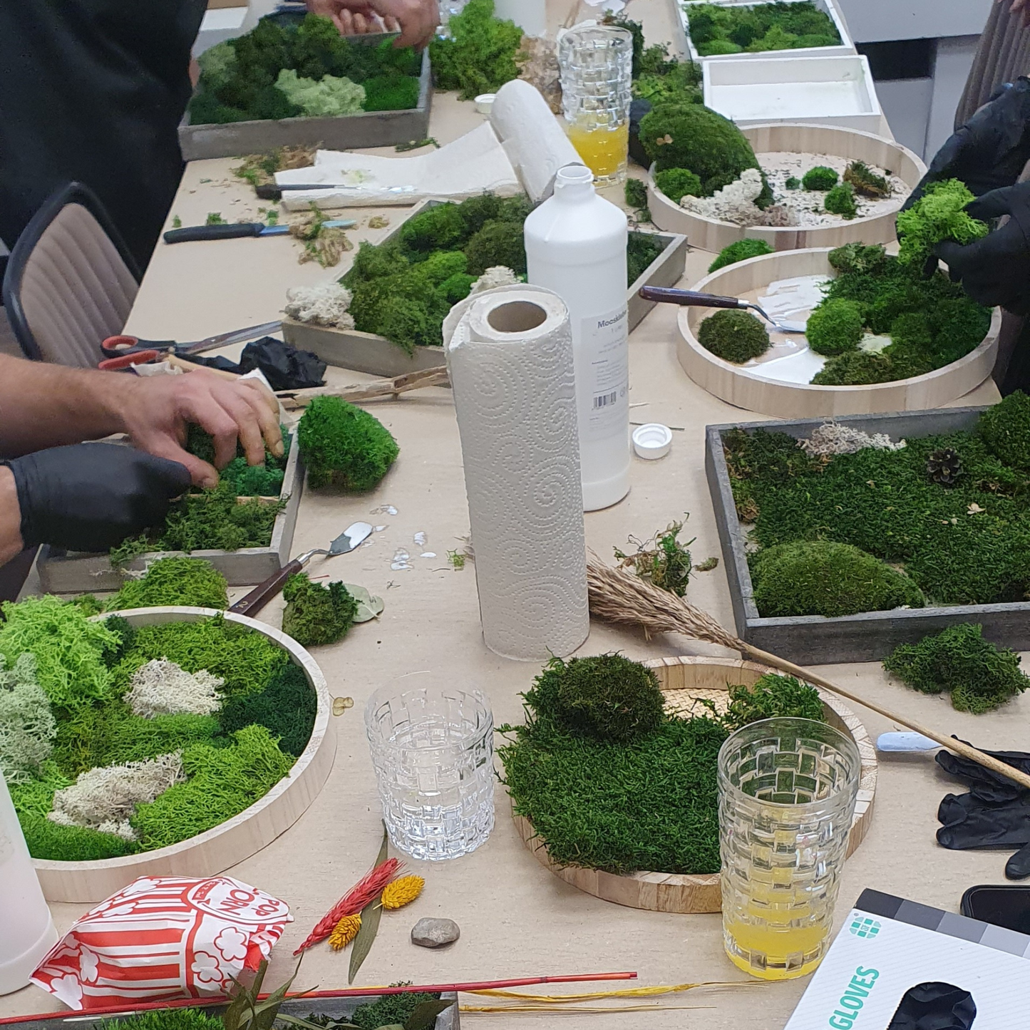 Moosbild: Gestalte 2 Bilder